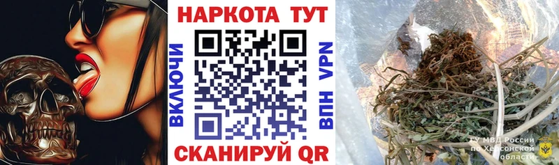 Галлюциногенные грибы Кола