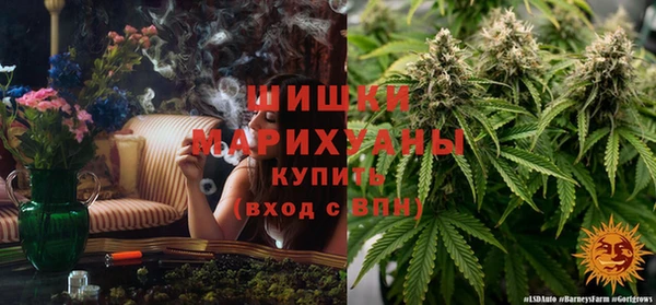соль ск Алзамай