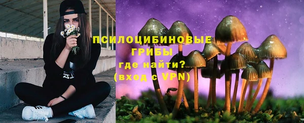 соль ск Алзамай