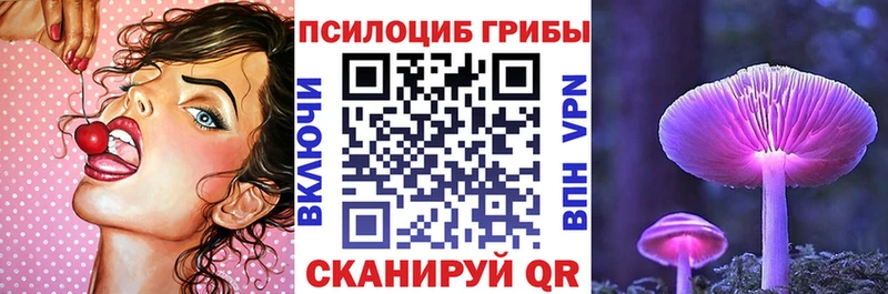 omg маркетплейс  Кола  Галлюциногенные грибы мухоморы 